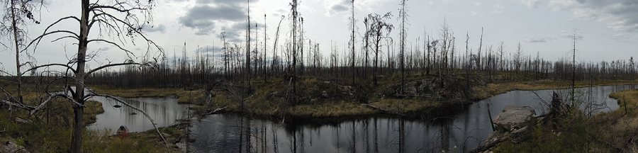 Beaver dam on Kawishiwi River between Square Lake and Kawasachong Lake in BWCA